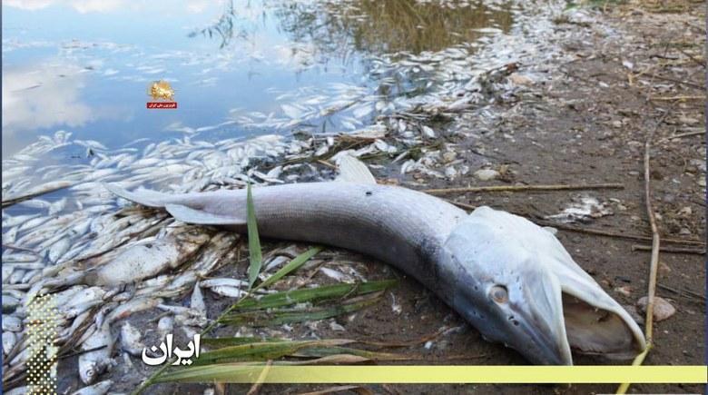 مرثیه خاک در حکومت قتل عام - قسمت اول