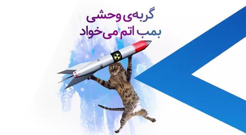 گربه‌ی وحشی بمب اتم می‌خواد